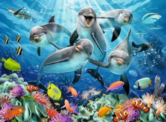 Detailansicht des Artikels: 14710 - Delphine im Korallenriff  500