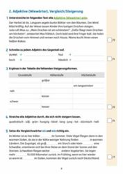 Detailansicht des Artikels: 284 - Tests in Deutsch - Lernzielko