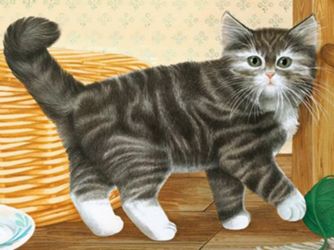 Detailansicht des Artikels: 07412 - Tiere                     12p