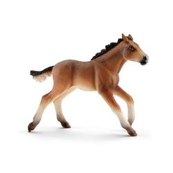 Detailansicht des Artikels: 13807 - Mustang Fohlen