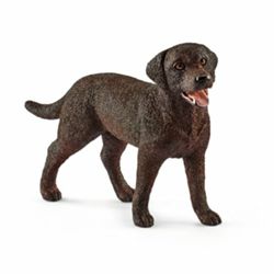 Detailansicht des Artikels: 13834 - Labrador Retriever Huendin