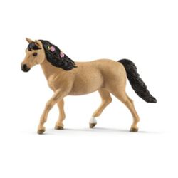 Detailansicht des Artikels: 13863 - Connemara Pony Stute