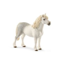 Detailansicht des Artikels: 13871 - Welsh-Pony Hengst