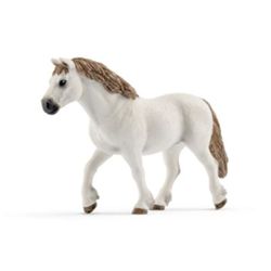 Detailansicht des Artikels: 13872 - Welsh-Pony Stute