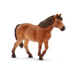 Detailansicht des Artikels: 13873 - Dartmoor-Pony Stute