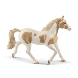 Detailansicht des Artikels: 13884 - HC Paint Horse Stute