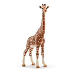 Detailansicht des Artikels: 14750 - Giraffenkuh