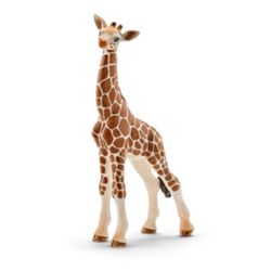 Detailansicht des Artikels: 14751 - Giraffenbaby