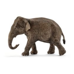 Detailansicht des Artikels: 14753 - Asiatische Elefantenkuh