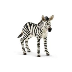 Detailansicht des Artikels: 14811 - Zebra Fohlen