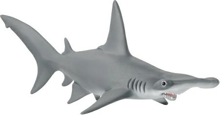 Detailansicht des Artikels: 14835 - Hammerhai